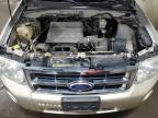 2010 Ford Escape Xlt for Sale in Ham Lake, MN - Rear End