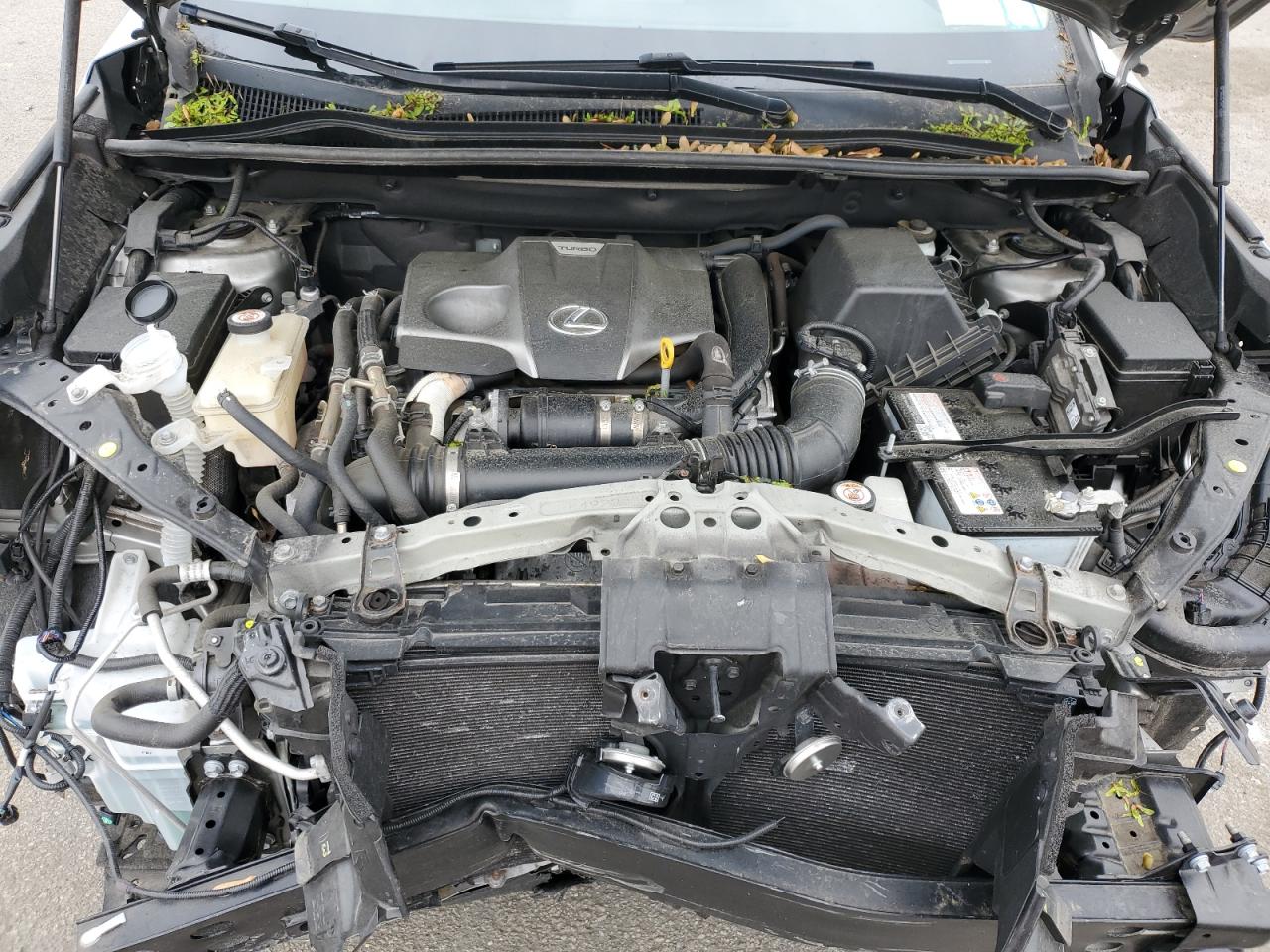 2020 Lexus Nx 300 VIN: JTJDARDZ7L5008404 Lot: 56427215