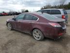 2009 ACURA TL  for sale at Copart ON - TORONTO