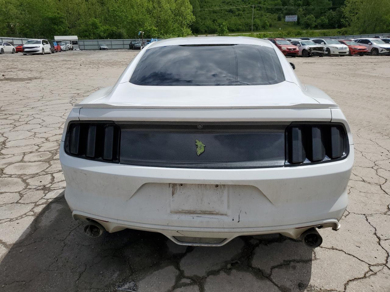 2017 Ford Mustang Gt VIN: 1FA6P8CF4H5209069 Lot: 56541695