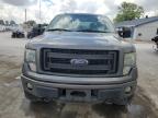 2013 Ford F150 Supercrew   на продаже в Sikeston, MO - Hail