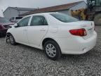 2010 Toyota Corolla Base en Venta en Columbus, OH - Front End