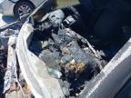 2020 VAUXHALL CORSA SE N for sale at Copart BELFAST