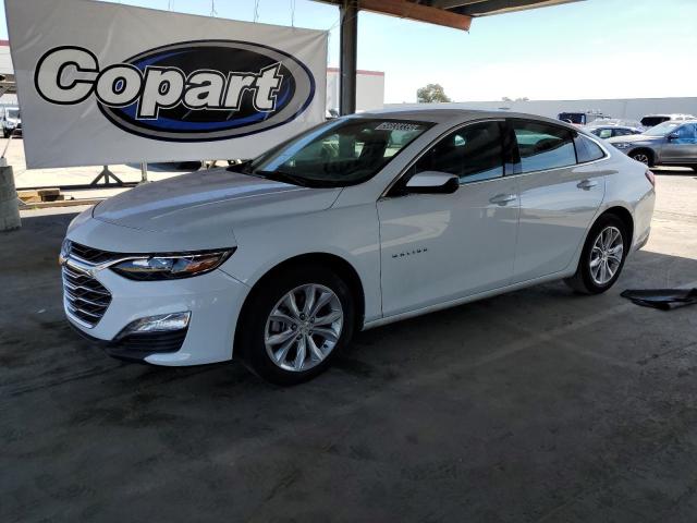  CHEVROLET MALIBU 2023 White