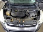 2013 Ford Escape Se for Sale in Albany, NY - Rear End