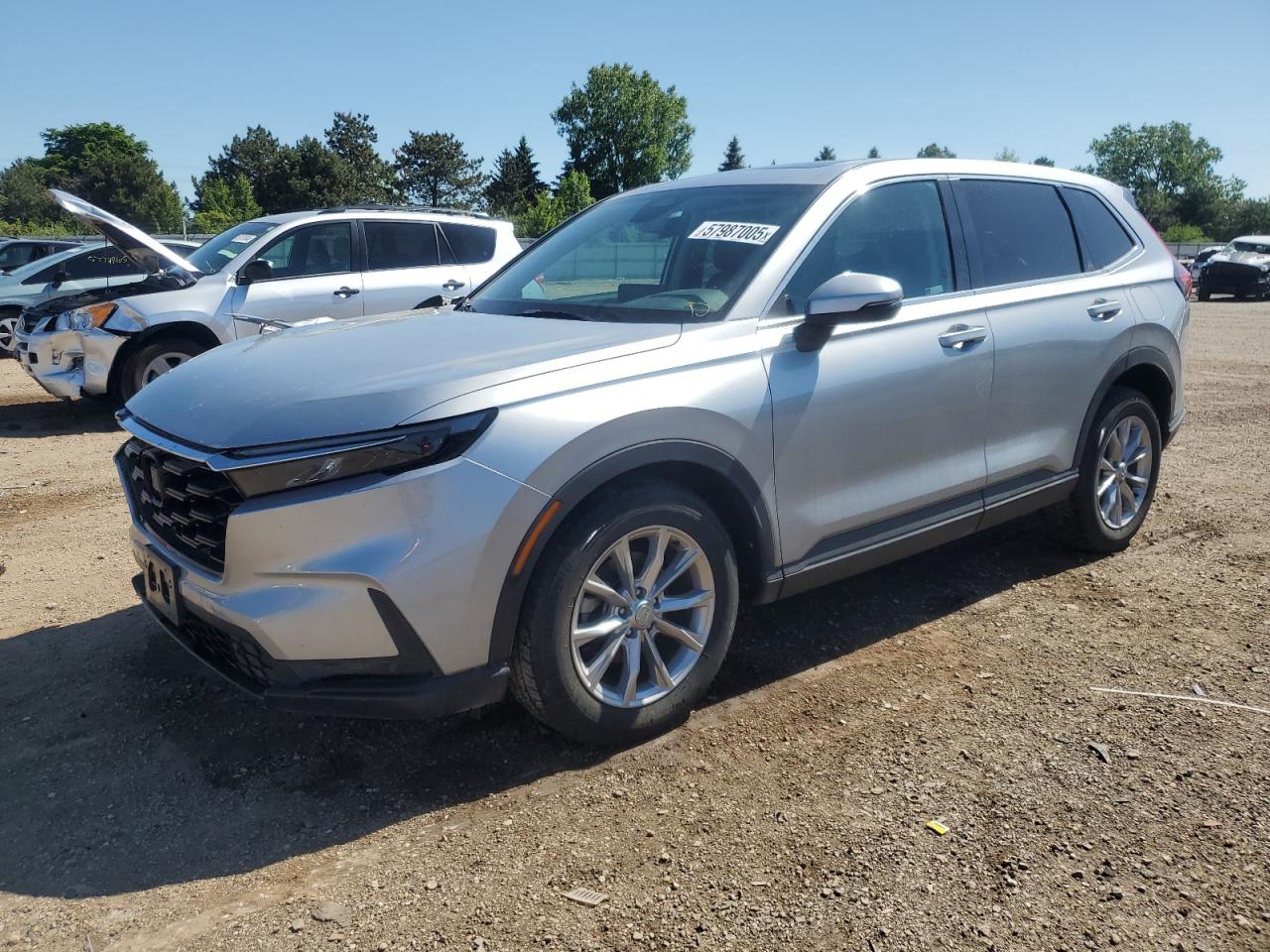 2023 Honda Cr-V Exl for Sale in Elgin, IL - Side