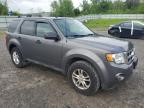 2011 Ford Escape Xlt за продажба в Leroy, NY - Rear End