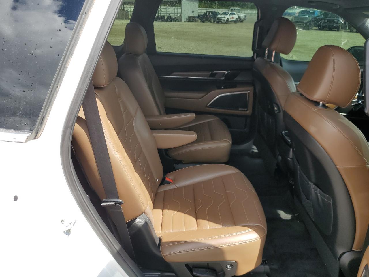 2020 Kia Telluride Sx VIN: 5XYP5DHC0LG017305 Lot: 56559375