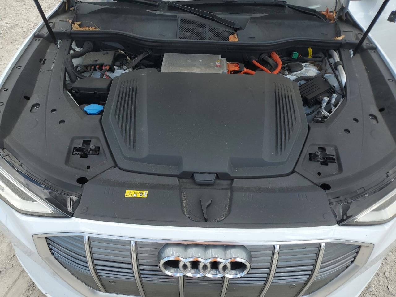 2019 Audi E-Tron Prestige VIN: WA1VAAGE0KB013133 Lot: 57060255