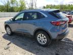 2024 Ford Escape Active zu verkaufen in Franklin, WI - Hail
