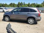 2009 Honda Cr-V Ex for Sale in Elgin, IL - Front End