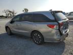 2022 Honda Odyssey Exl იყიდება Riverview-ში, FL - Rear End