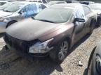 Las Vegas, NV에서 판매 중인 2014 Nissan Maxima S - Front End