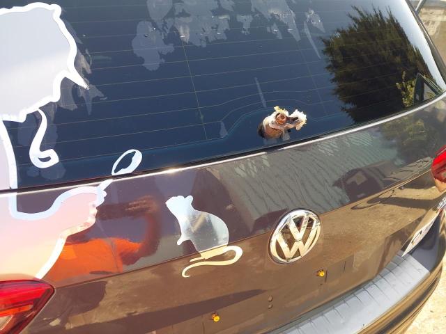 2016 VOLKSWAGEN TIGUAN SE