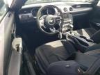 2017 Ford Mustang  for Sale in Hillsborough, NJ - Front End