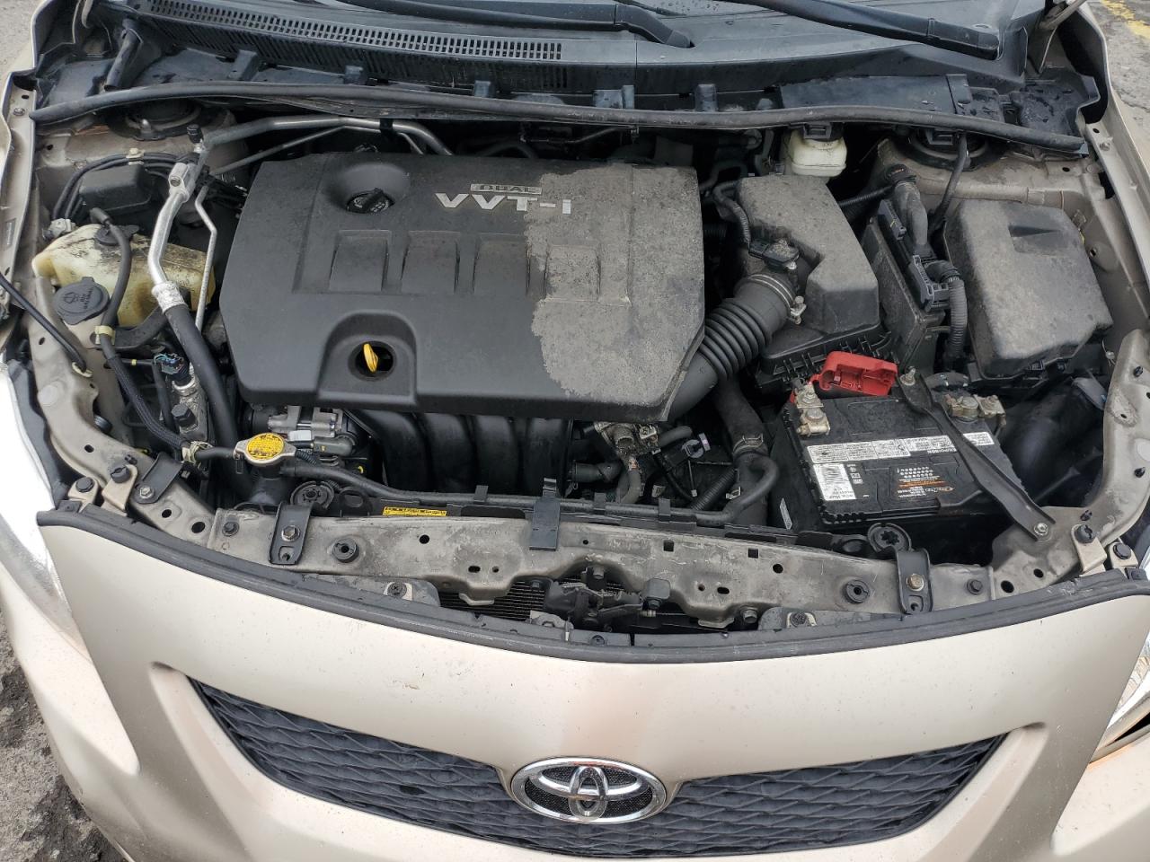 2010 Toyota Corolla Base VIN: 1NXBU4EE5AZ336144 Lot: 57042125