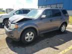 2010 Ford Escape Xlt for Sale in Woodhaven, MI - Front End