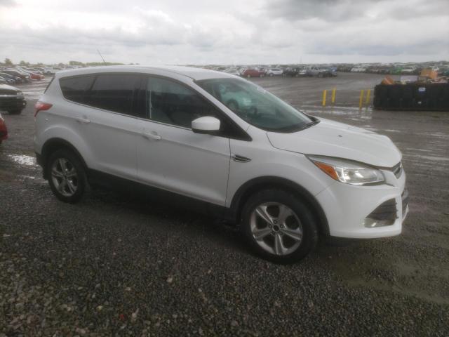 Паркетники FORD ESCAPE 2015 Белый