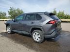2024 Toyota Rav4 Le იყიდება Albuquerque-ში, NM - Front End