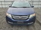 Waldorf, MD에서 판매 중인 2016 Honda Odyssey Exl - Side
