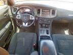 2011 Dodge Charger  for Sale in Temple, TX - Front End