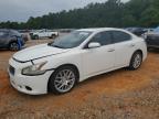 2010 Nissan Maxima S for Sale in Eight Mile, AL - Burn - Engine