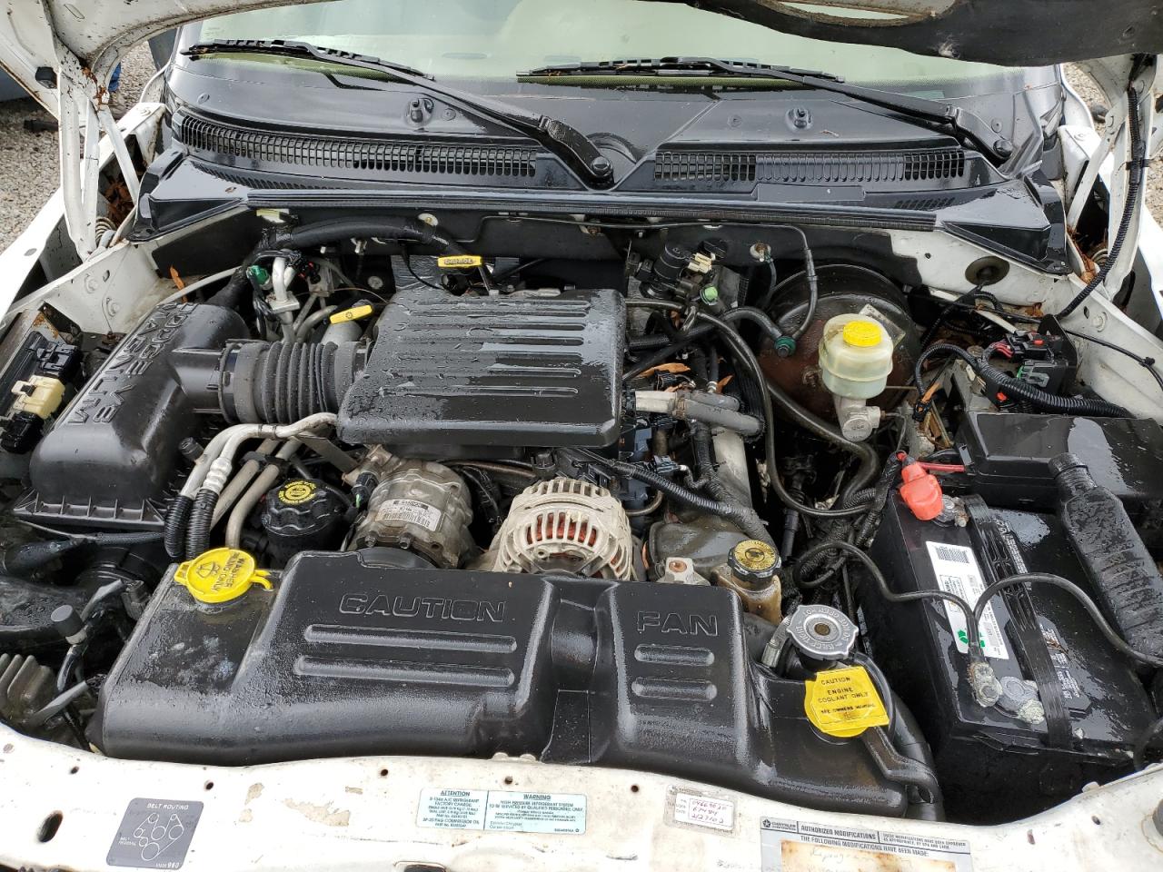 2000 Dodge Durango VIN: 1B4HS28N3YF101919 Lot: 54875245