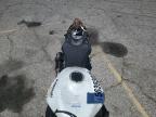 2024 Kawasaki Zx636 K for Sale in Van Nuys, CA - All Over