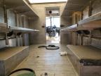 2022 Freightliner Chassis M Line Walk-In Van for Sale in Conway, AR - Front End