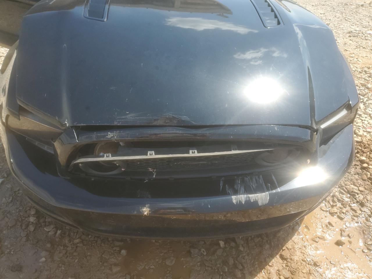 2014 Ford Mustang Gt VIN: 1ZVBP8CF1E5323922 Lot: 56954165