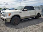 2009 FORD F150 SUPERCREW   for sale at Copart ON - OTTAWA