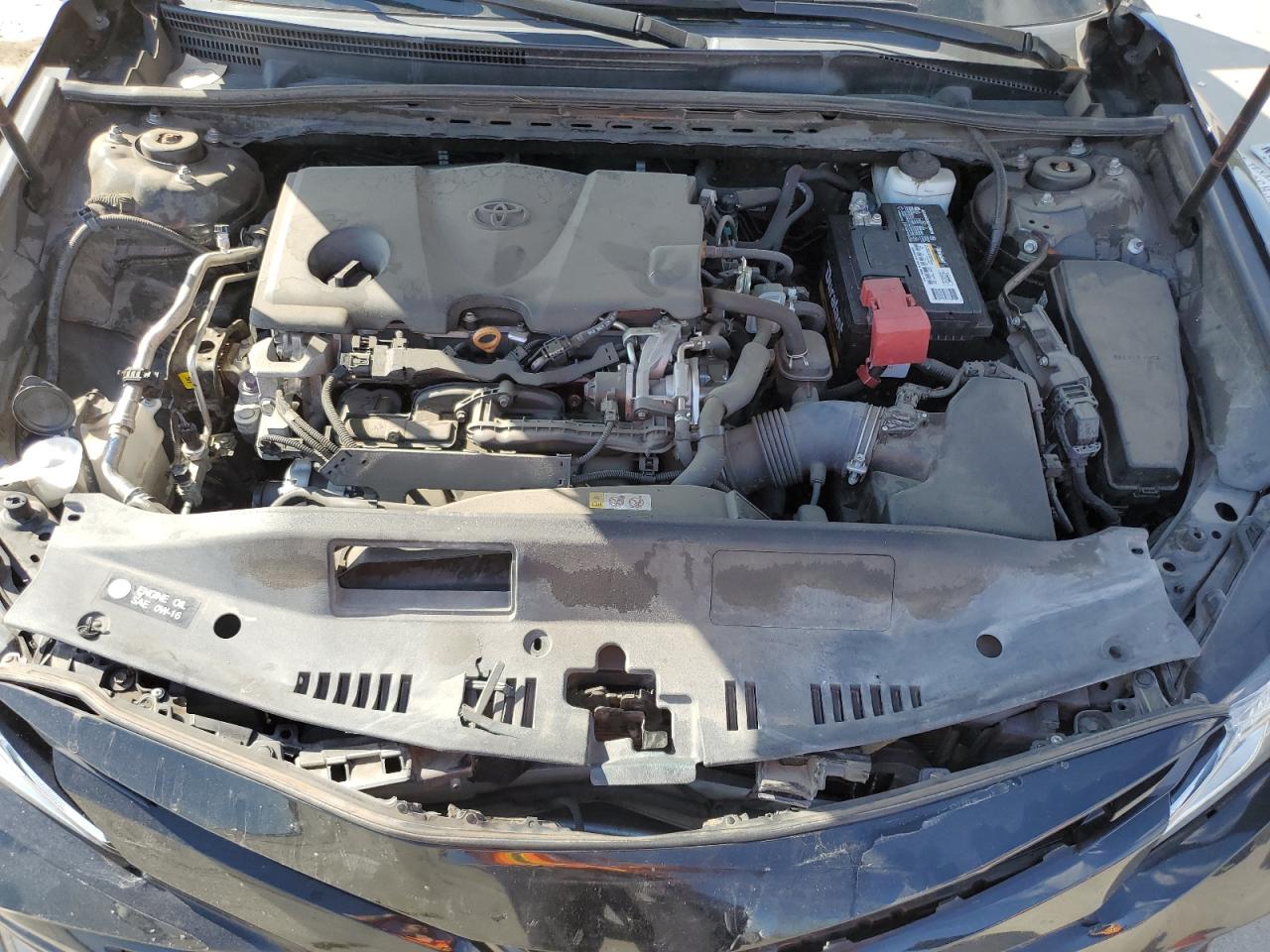 2020 Toyota Camry Le VIN: 4T1C11AK5LU324019 Lot: 56784825