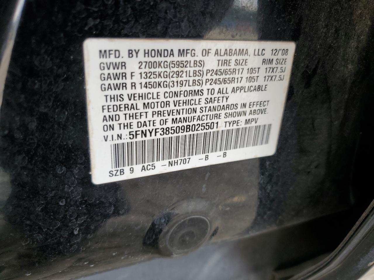 2009 Honda Pilot Exl VIN: 5FNYF38509B025501 Lot: 58987525