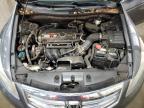 2011 Honda Accord Lx for Sale in Ham Lake, MN - Rear End