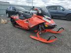 2019 SKIDOO BACKCOUNTR for sale at Copart ON - OTTAWA