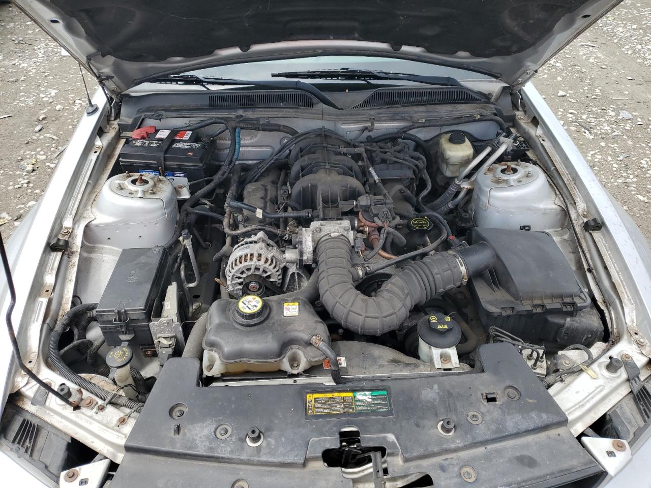 2008 Ford Mustang VIN: 1ZVHT84N385176843 Lot: 55793655