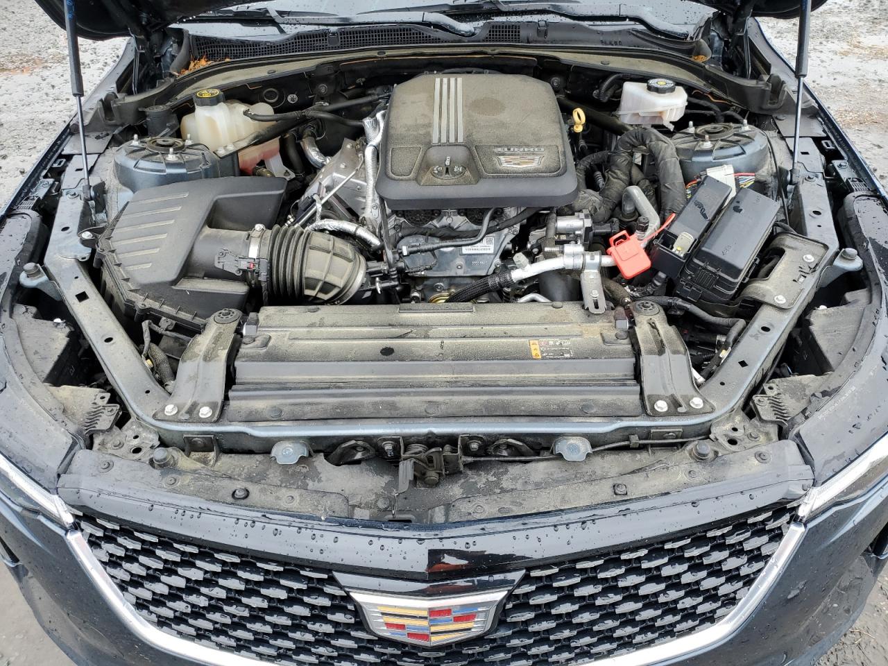 2020 Cadillac Ct4 Premium Luxury VIN: 1G6DB5RK5L0135379 Lot: 56368795