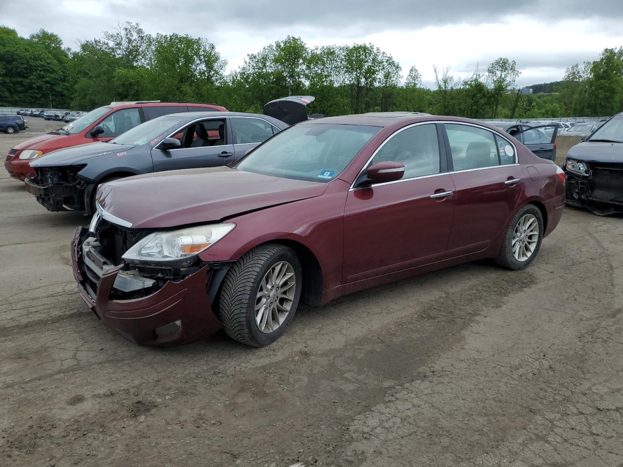 2010 Hyundai Genesis 3.8L للبيع في Marlboro، NY - Front End