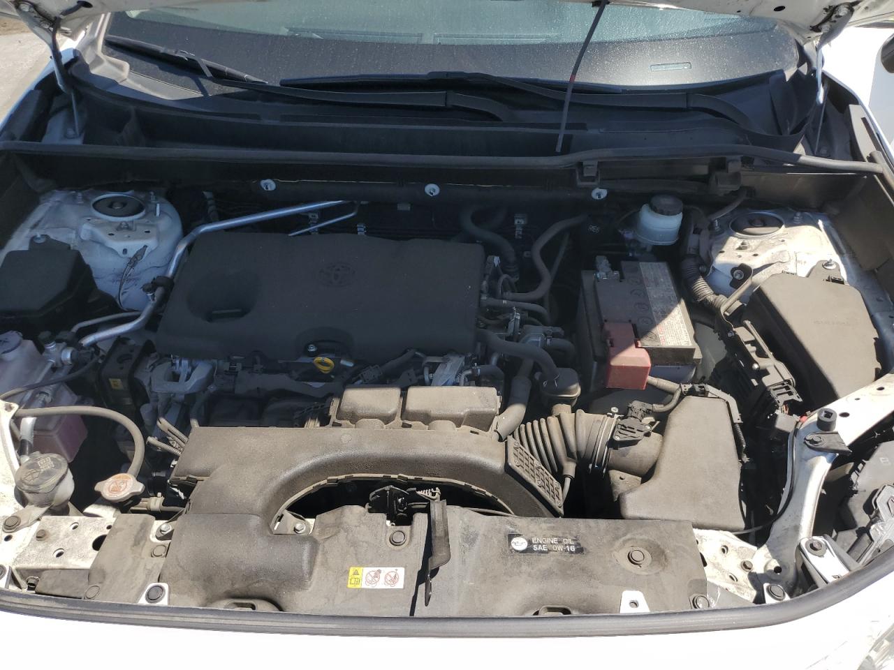 2019 Toyota Rav4 Xle VIN: JTMW1RFV3KD509283 Lot: 56561225