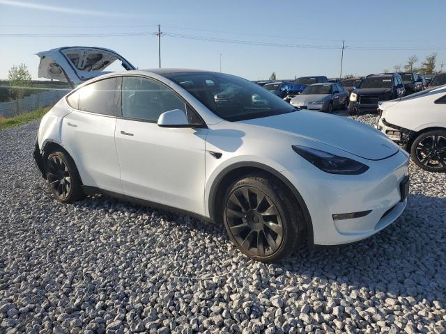  TESLA MODEL Y 2023 White