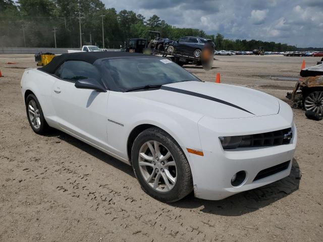 Cabriolets CHEVROLET CAMARO 2013 White