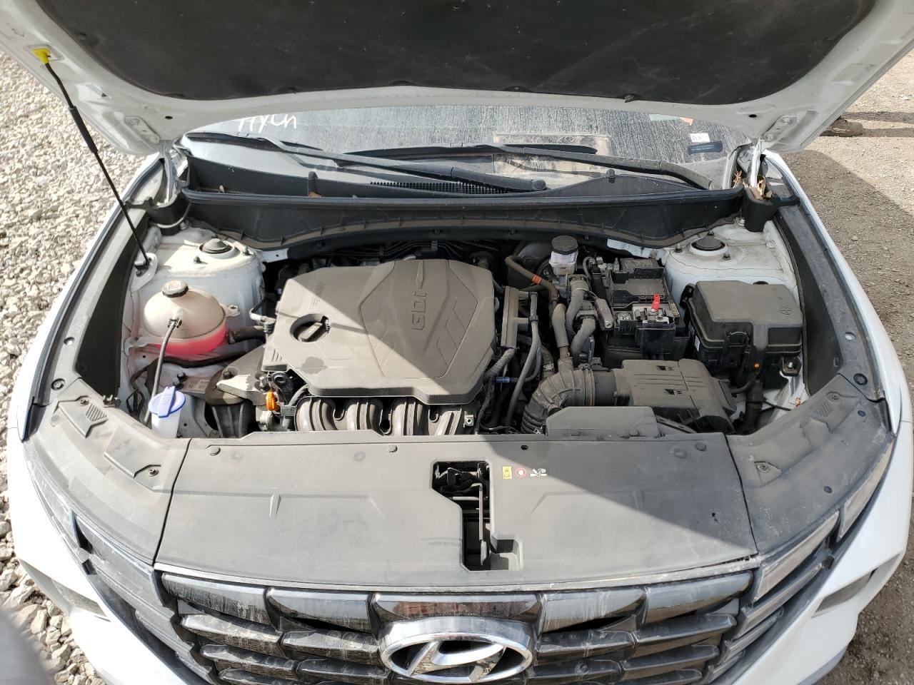 2023 Hyundai Tucson Sel VIN: 5NMJBCAE1PH180724 Lot: 55816775