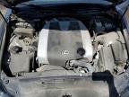 2017 Lexus Is 300 იყიდება Denver-ში, CO - Hail