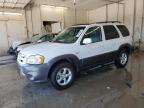 2005 Mazda Tribute S for Sale in Madisonville, TN - Rear End