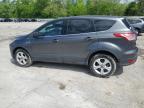 2015 Ford Escape Se for Sale in Ellwood City, PA - Hail