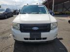 2012 Ford Escape Xlt for Sale in Denver, CO - Hail
