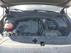 2022 Hyundai Santa Fe Sel   იყიდება New Orleans-ში, LA - Water/Flood