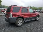 2005 Ford Escape Xlt იყიდება Marlboro-ში, NY - Rear End