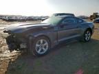 2017 Ford Mustang  للبيع في Houston، TX - Front End