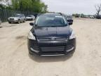 2016 Ford Escape Se na sprzedaż w Cicero, IN - Minor Dent/Scratches